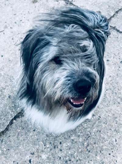 Fotochallange Nr. 57     PORTRÄT.   Beendet!!!!!!!!-Beitrag-Bild