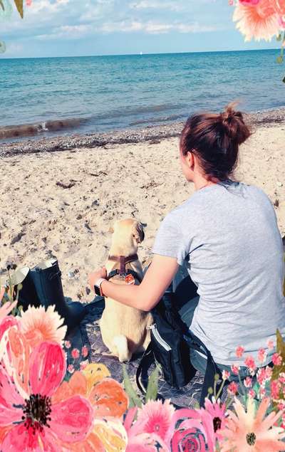 FOTOCHALLENGE NR.54-,,Liebesbeweis"-Beitrag-Bild