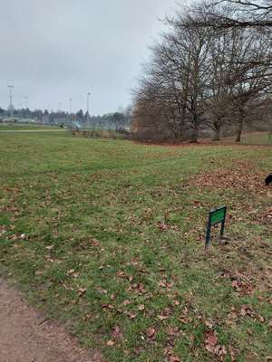 Hundeauslaufgebiet-Baurstraße-Bild