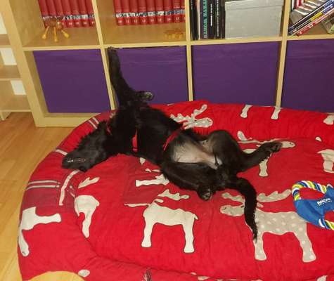 Die unbequemsten und lustigsten Schlafpositionen-Beitrag-Bild