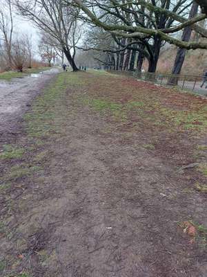 Hundeauslaufgebiet-Övelgönner Hohlweg/Ringelnatztreppe -Bild