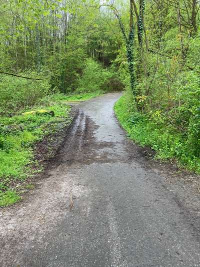 Hundeauslaufgebiet-Herbecker Haldenrunde-Bild