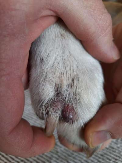 Komische stelle zwischen den Zehen-Beitrag-Bild