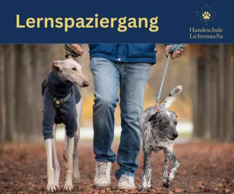 Giftköder-Lernspaziergang-Bild