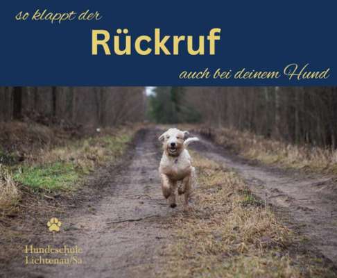 Giftköder-Rückruf-Training-Bild