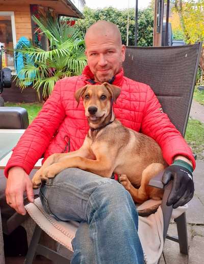 Fotochallenge 32 - Mein Schoßhündchen-Beitrag-Bild