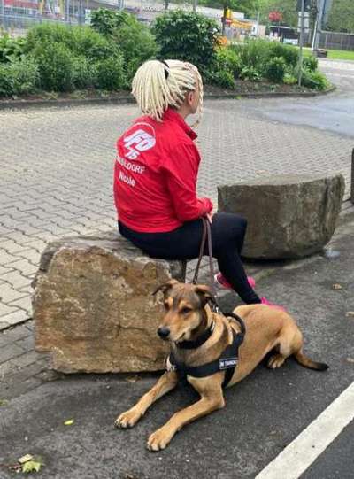 Challenge 33 - Du und dein Hund-Beitrag-Bild