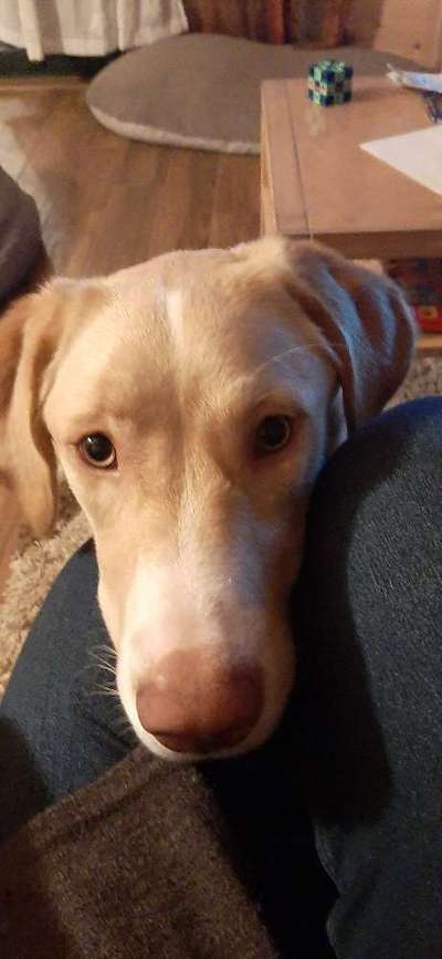 Bettel Blicke-Beitrag-Bild