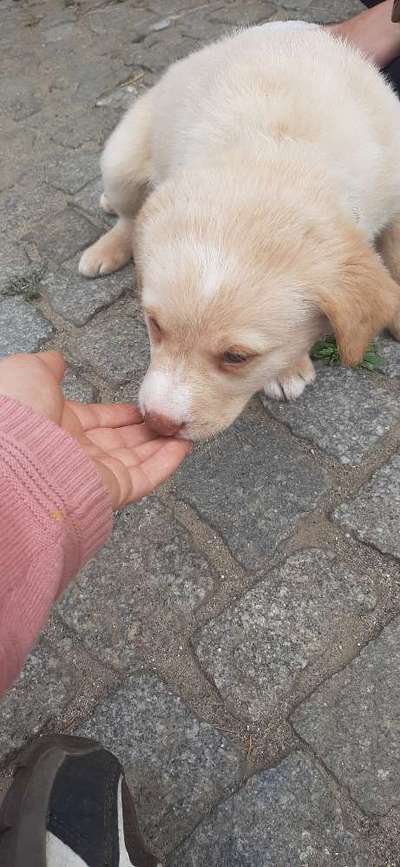 Welches Geschlecht?-Beitrag-Bild