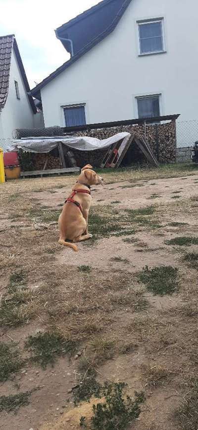 Lustigsten Bilder-Beitrag-Bild