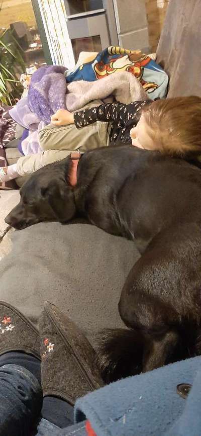 Hundmenschfotos-Beitrag-Bild