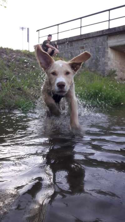 Foto Wettbewerb-Beitrag-Bild