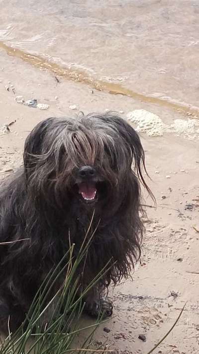 Seltene Rassen!-Beitrag-Bild