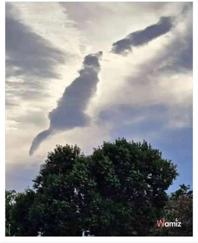 Berührende Hunde Bilder/Videos-Beitrag-Bild