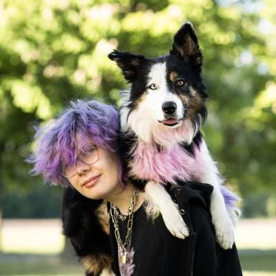 Hundetreffen-Gassiservice/Hundebeschäftigung-Bild