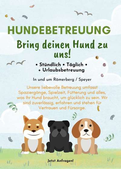 Hundetreffen-Hundebetreuung - Dogwalking -Hundesitting-Bild