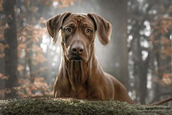 Fotochallenge No. 26                                     Wald und Wiese-Beitrag-Bild