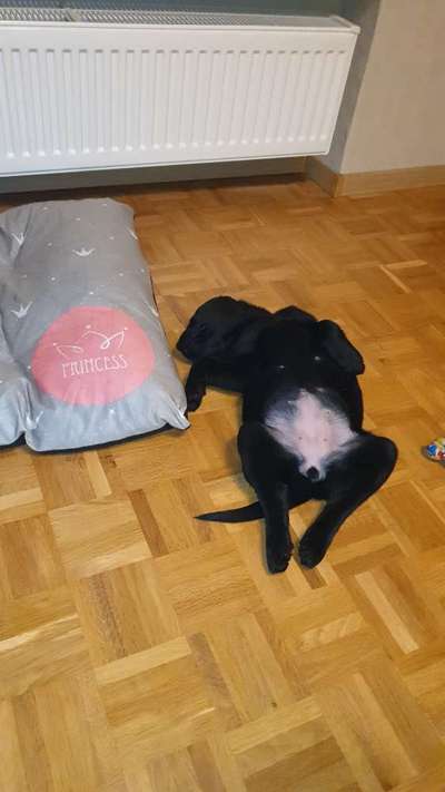 Die unbequemsten und lustigsten Schlafpositionen-Beitrag-Bild