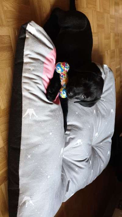 Foto Challenge die Vierte-Beitrag-Bild