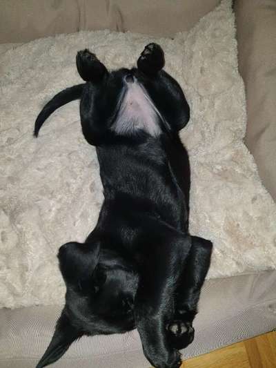 Die unbequemsten und lustigsten Schlafpositionen-Beitrag-Bild