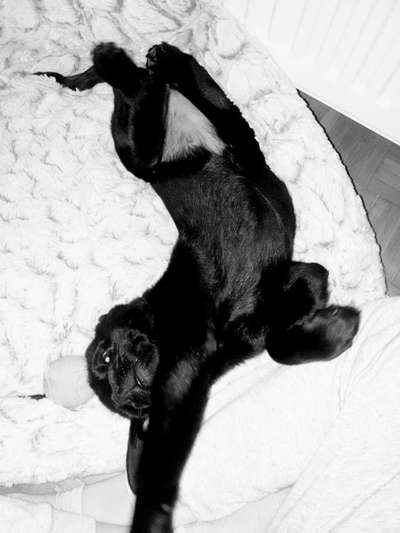 Fotochallange Nr. 6 Die irrsten Blicke-Beitrag-Bild