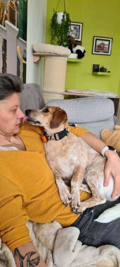 Küsschenbilder-Beitrag-Bild