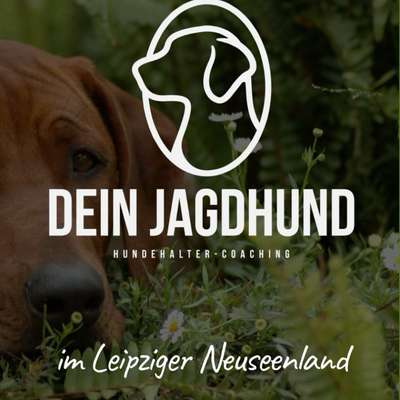 Hundeschulen-Dein Jagdhund - Hundehaltercoaching-Bild