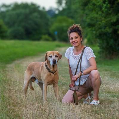 Giftköder-Einzelcoaching-Bild