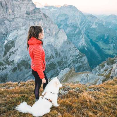 Hundetreffen-Gassirunde-Profilbild