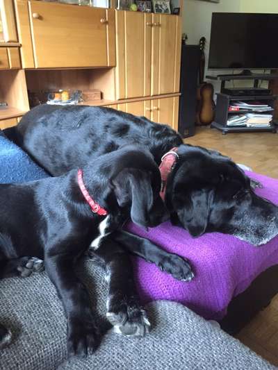 Lieblings Fotos-Beitrag-Bild