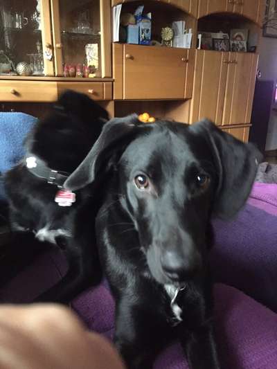 Fotochallange Nr. 57     PORTRÄT.   Beendet!!!!!!!!-Beitrag-Bild