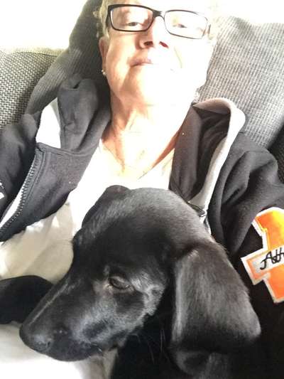 Die lustigsten Selfies mit Deinem Hund !-Beitrag-Bild