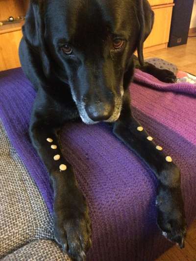 Fotochallange Nr. 57     PORTRÄT.   Beendet!!!!!!!!-Beitrag-Bild