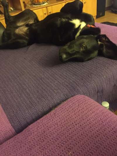 Blick fürs Detail!-Beitrag-Bild