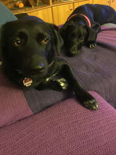 Un...scharf Bilder-Beitrag-Bild