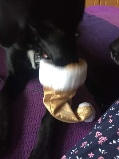 Un...scharf Bilder-Beitrag-Bild