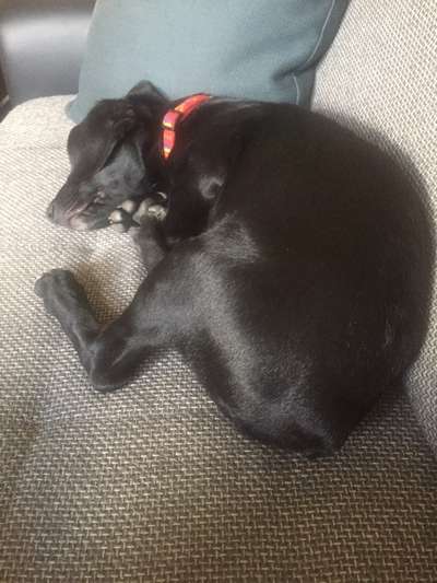 Euer absolutes lieblings Bild !-Beitrag-Bild