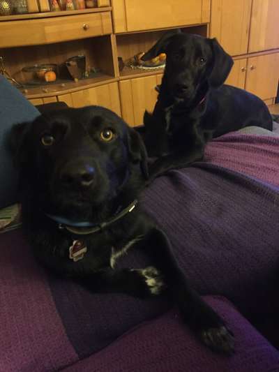 Lieblingsbild :D-Beitrag-Bild