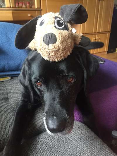 Lieblings Fotos-Beitrag-Bild