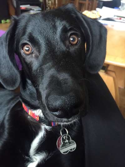 Lieblingsbild :D-Beitrag-Bild