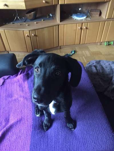 Fotochallange Nr. 57     PORTRÄT.   Beendet!!!!!!!!-Beitrag-Bild