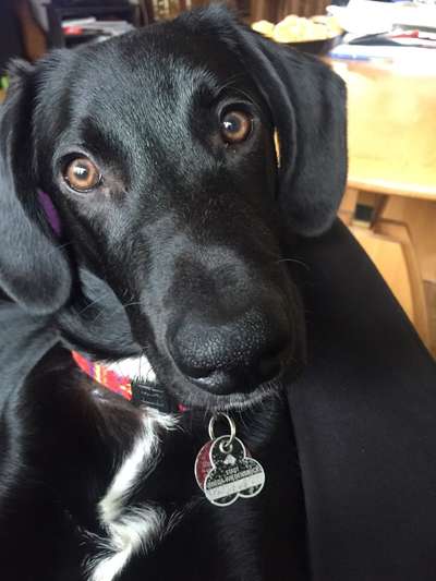 Lieblings Fotos-Beitrag-Bild