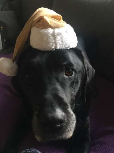 It's beginning to look a lot like.....-Beitrag-Bild