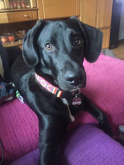 Lieblingsbild-Beitrag-Bild