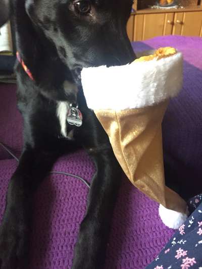 It's beginning to look a lot like.....-Beitrag-Bild