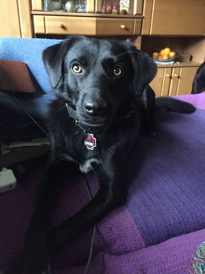 Fotochallange Nr. 57     PORTRÄT.   Beendet!!!!!!!!-Beitrag-Bild