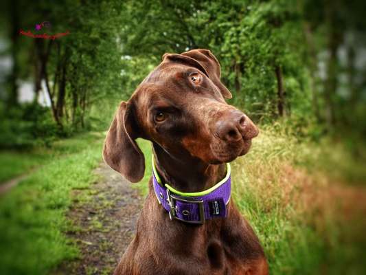 Unsere Sternchen ******-Beitrag-Bild