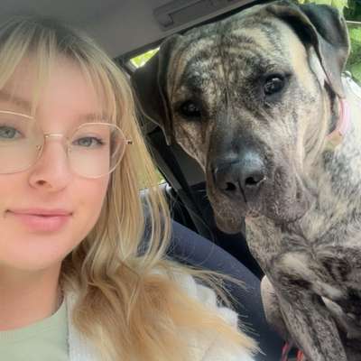 Hundetreffen-Gassirunde, neue Hundefreunde, Spielrunde-Bild