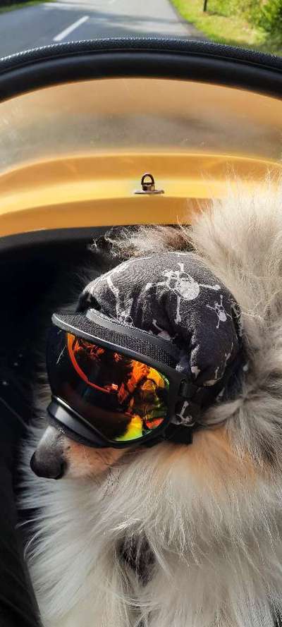 Lieblingsbild-Beitrag-Bild