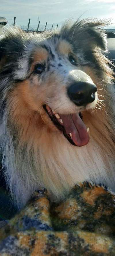 Lieblingsbild-Beitrag-Bild